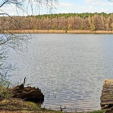 Ferienhaus 2 Bedroom Pet Friendly In